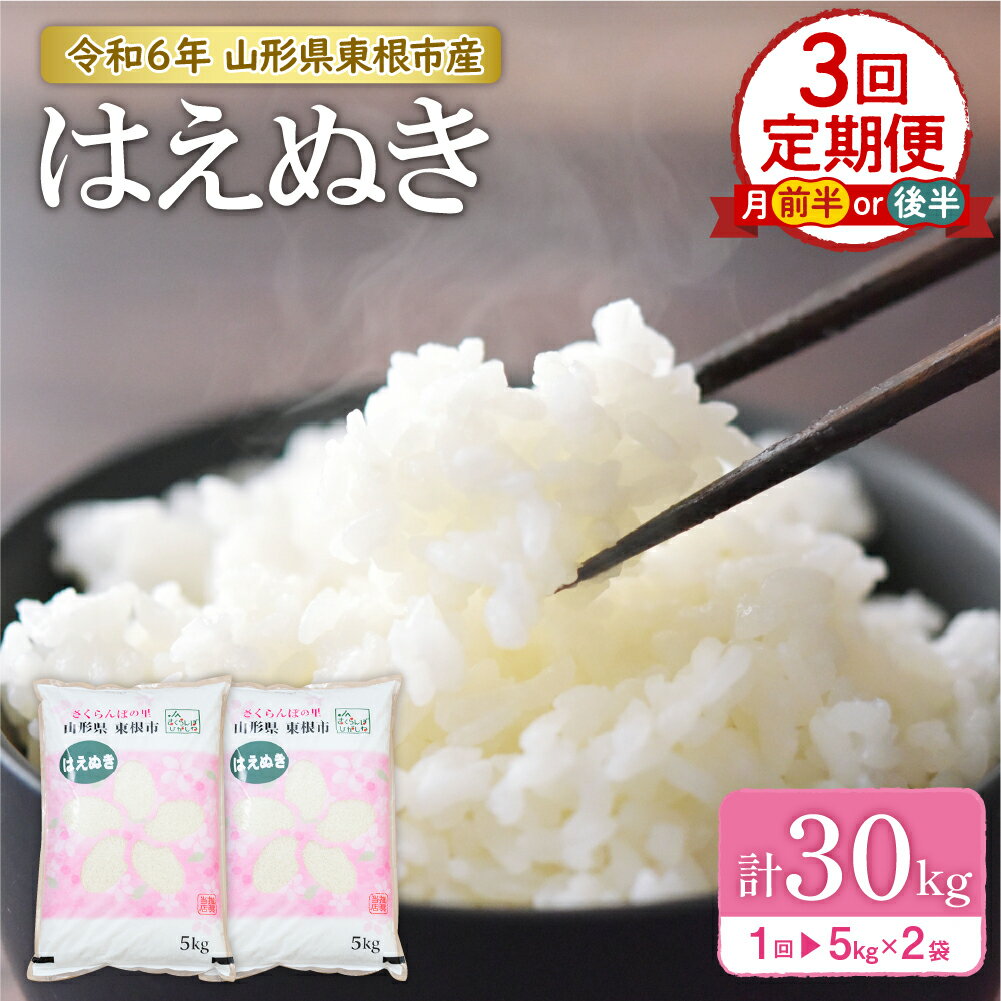 【ふるさと納税】【 令和6年産 先行予約 】 はえぬき 30kg ( 10kg × 3回 ) 毎月 定期便（ 発送時期が...