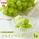 13位! 口コミ数「6件」評価「4.5」2024年産 ぶどう「 シャインマスカット 」 1房 700g以上 先行予約マスカット ブドウ 葡萄 フルーツ 果物 くだもの 大粒 大きい･･･ 