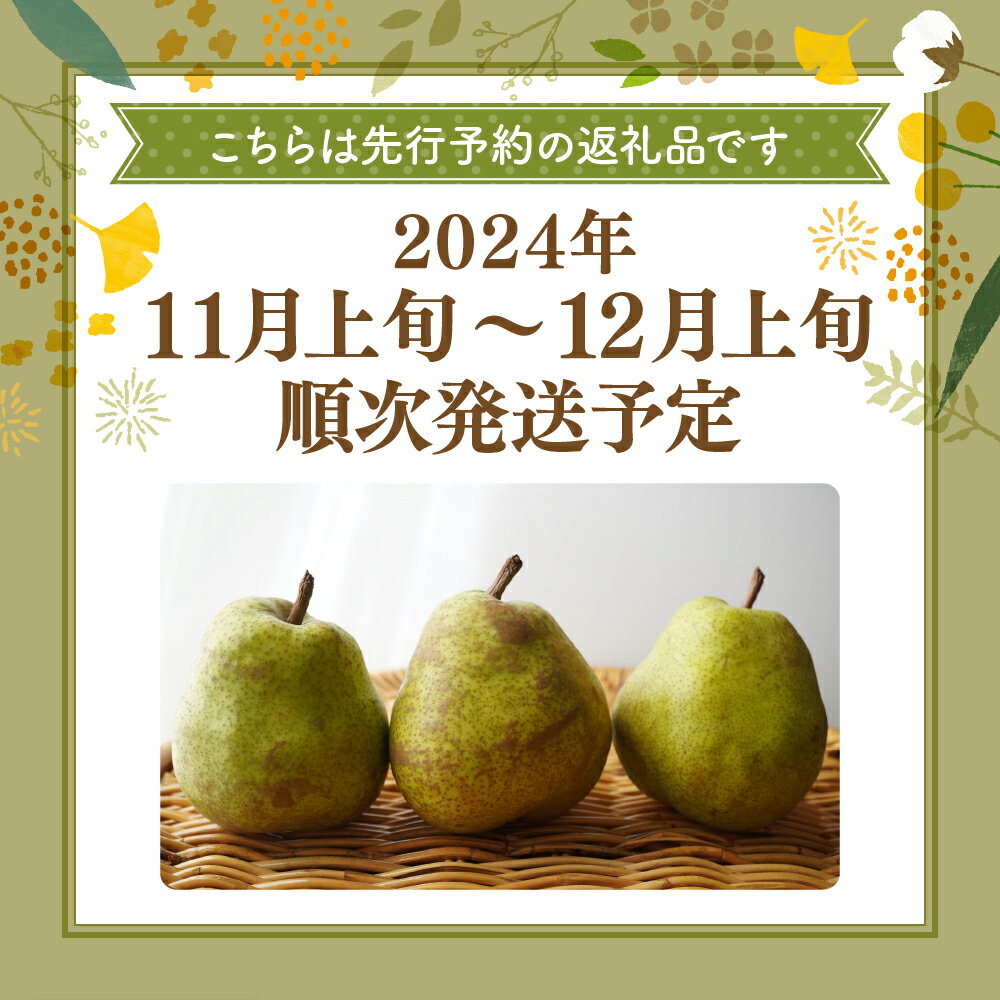 【ふるさと納税】【2024年産 先行予約】 洋なし「【横綱】ラ・フランス」3kgラフランス 洋なし 洋梨 ようなし フルーツ 果物 東北 山形県 東根市 送料無料