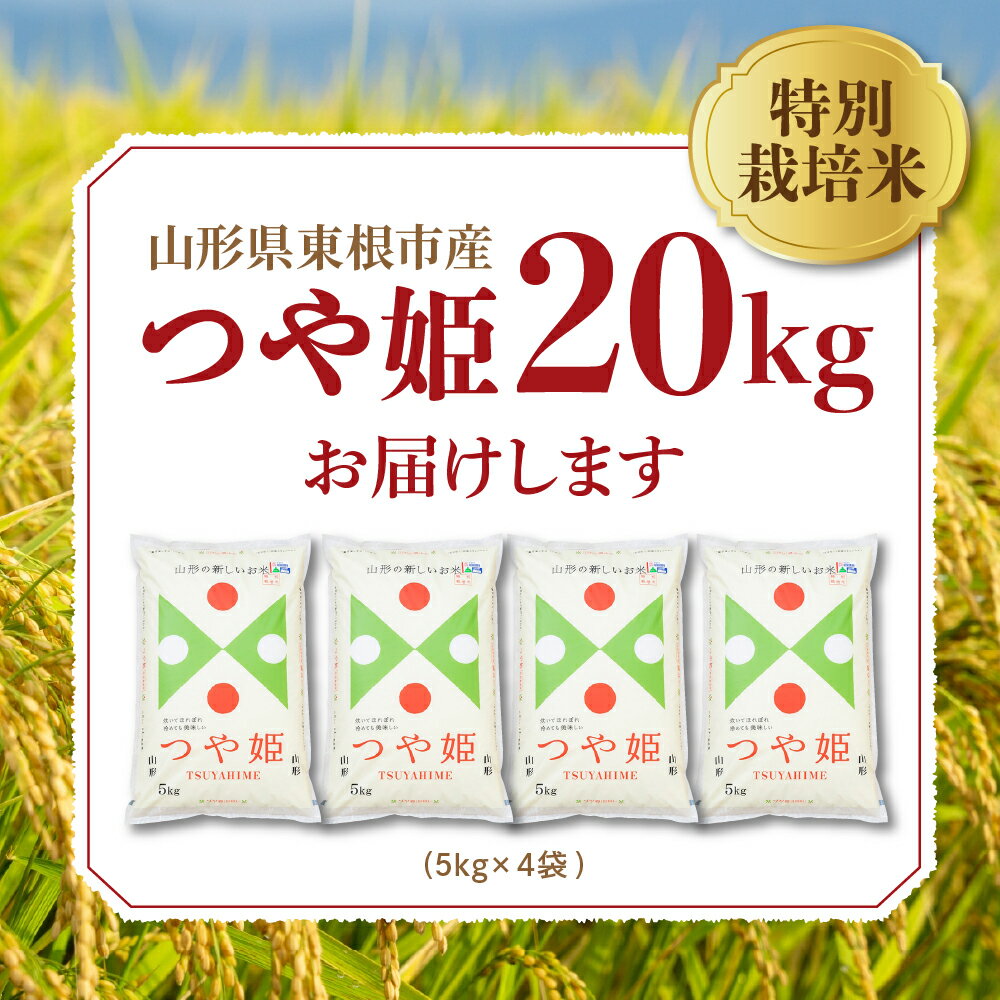令和7年産 発送時期が選べる 『 つや姫 』 受付中開始！！冷めても美味しい！おにぎりやお弁当におすすめです！　【ふるさと納税】 米 特別栽培米 つや姫 20kg ( 5kg × 4袋 ) / 令和7年産 新米 先行予約 配送時期が選べる 2025年 お米 精米 白米 ブランド米 ご飯 おにぎり 弁当 小分け 便利 個包装 お取り寄せ ご当地 特産 産地直送 送料無料 東北 山形県 東根市