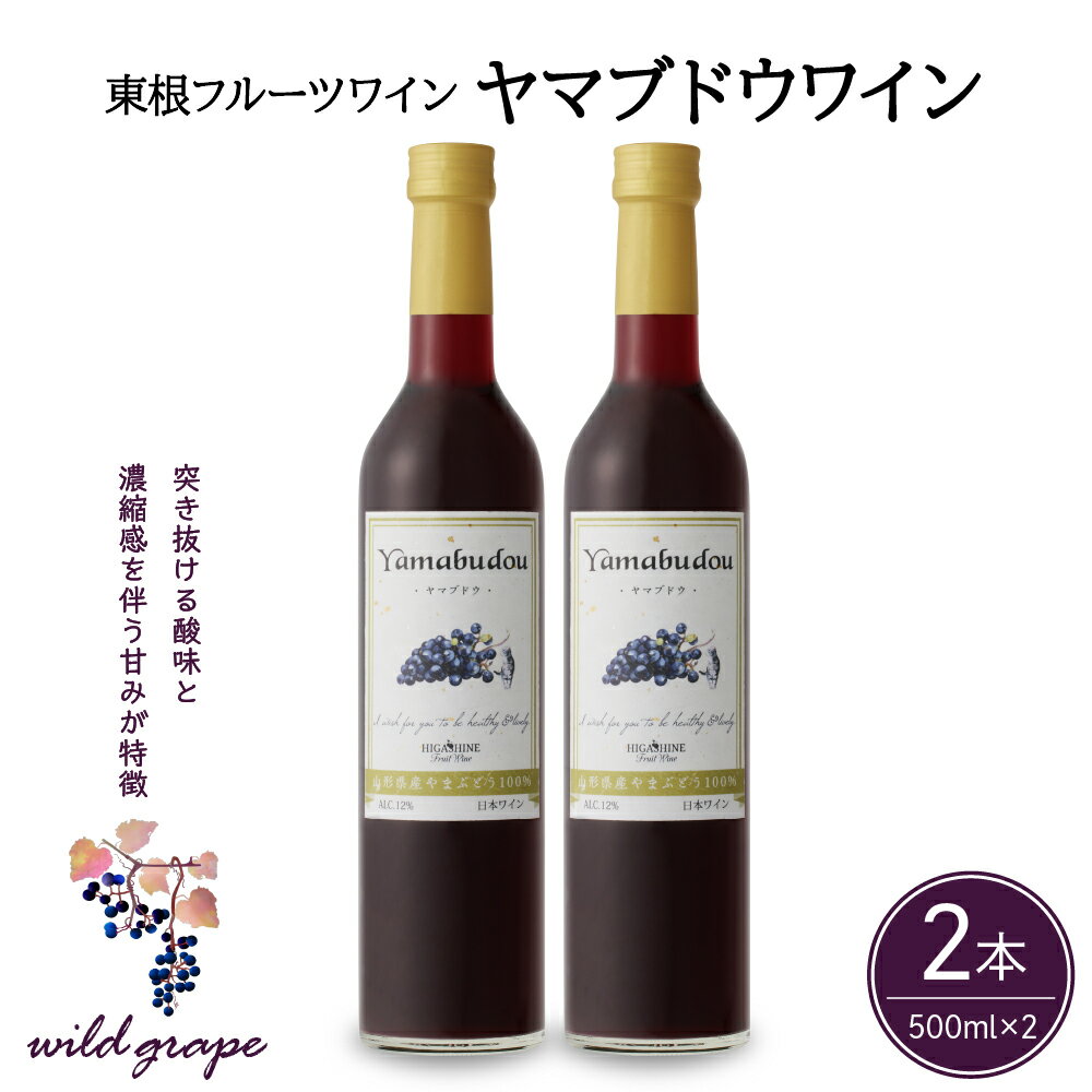 1位! 口コミ数「0件」評価「0」 ワイン ヤマブドウワイン 500ml × 2本 セット / 赤ワイン 日本ワイン ワインセット 国産 ぶどう 赤 酒 お酒 洋酒 果実酒 ･･･ 