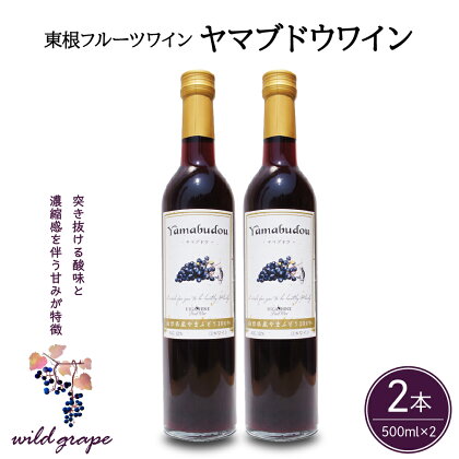 ワイン ヤマブドウワイン 500ml × 2本 セット / 赤ワイン 日本ワイン ワインセット 国産 ぶどう 赤 酒 お酒 洋酒 果実酒 アルコール 母の日 父の日 敬老の日 記念日 誕生日 ギフト プレゼント お取り寄せ 送料無料 山形県 東根市