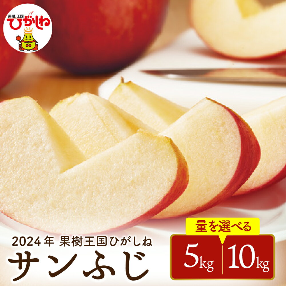 【ふるさと納税】りんご サンふじ 選べる内容量 5kg / 