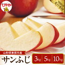 【ふるさと納税】【 2025年 先行予約 】りんご サンふじ ( 選べる内容量 : 3kg / 5kg / 10kg )さんふじ リンゴ 林檎 アップル フルーツ 果物 くだもの 秋 旬 先行予約 お取り寄せ 産地直送 ご当地 特産 グルメ 常温配送 送料無料 東北 山形県 東根市