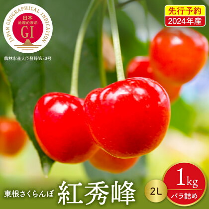 【先行予約】さくらんぼ 紅秀峰 2L 1kg ( 500g × 2P ) 2024年産 GI東根 株式会社晴天畑提供サクランボ バラ詰め フルーツ 果物 くだもの 産地直送 期間限定 特産 特産品 お取り寄せ グルメ 旬 送料無料 東北 山形県 東根市