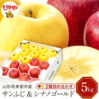 【ふるさと納税】 りんご サンふじ シナノゴールド 2種 詰め合わせ 5kg 東根 農産センター提供 秋 リンゴ 林檎 フルーツ 果物 くだもの お取り寄せ 産地直送 送料無料 東北 山形県 東根市