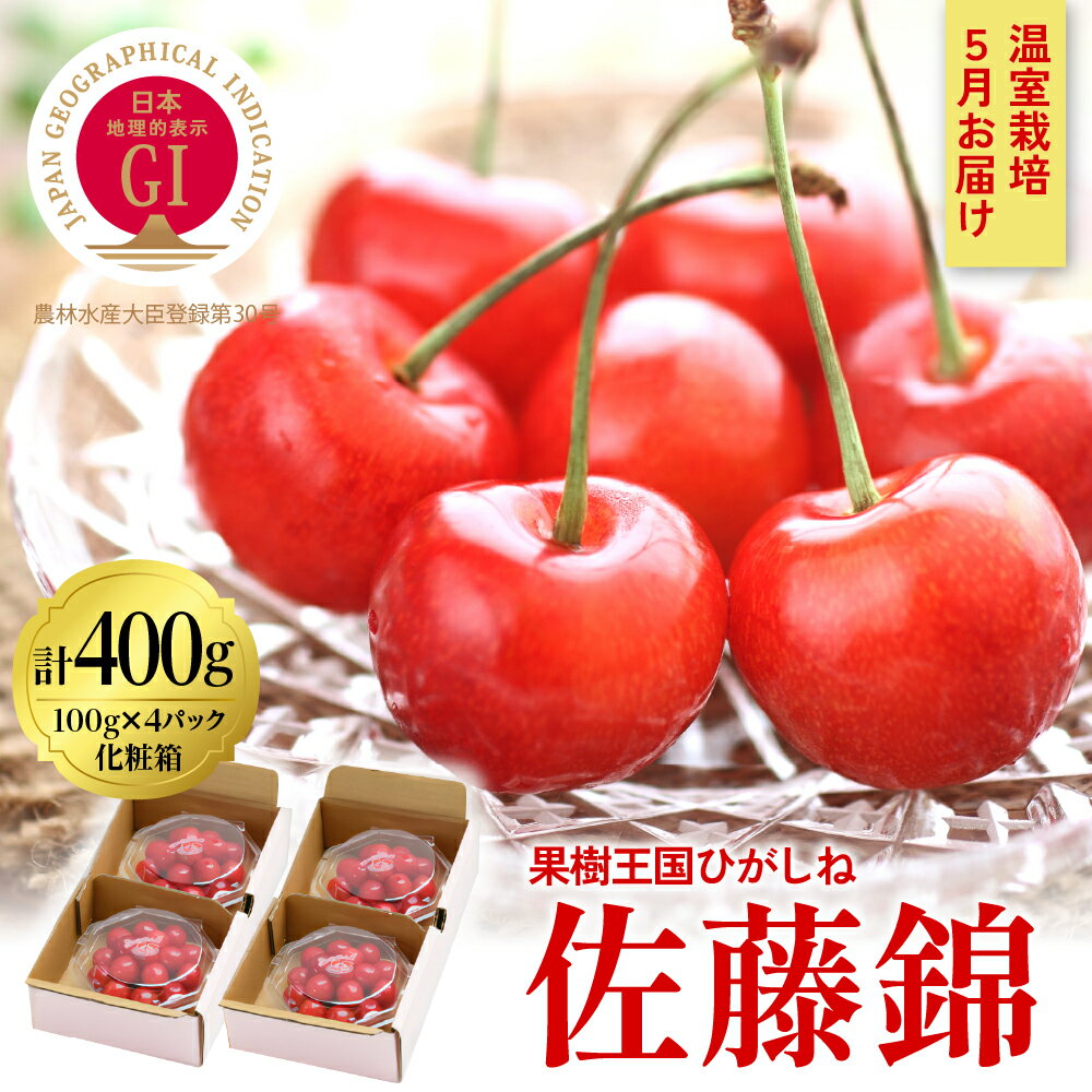 【ふるさと納税】2024年産【5月お届け】GI「東根さくらんぼ」佐藤錦100g×4パック入り 東根農産センター提供サクランボ フルーツ 果物 くだもの 期間限定 冷蔵配送 先行予約 取り寄せ グルメ ご当地 特産 産地 直送 送料無料 東北 山形 東根市