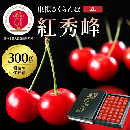 2024年産 GI「東根さくらんぼ」 紅秀峰 300g 鏡詰め(2L) 東根農産センター提供さくらんぼ チェリー フルーツ 果物 くだもの お取り寄せグルメ 期間限定 箱入り 化粧箱 冷蔵配送 産地直産 ご当地 お取り寄せ 東北 山形県 東根市