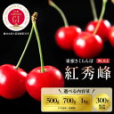 【ふるさと納税】 さくらんぼ 紅秀峰 (選べる内容量 : 500g / 700g / 1kg / 300g)/ GI東根さくらんぼ サクランボ フルーツ 果物 ...