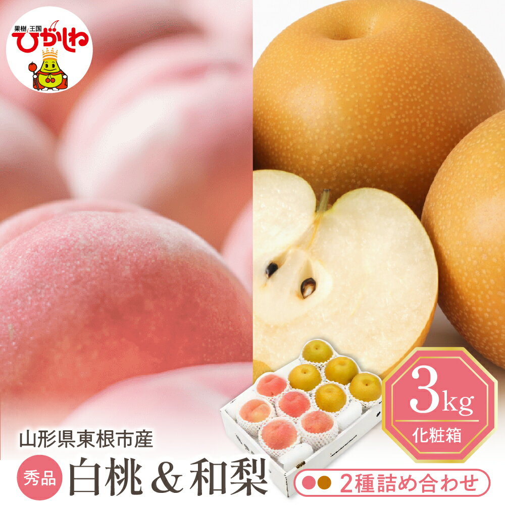 【ふるさと納税】2026年 先行予約 白桃 和梨 詰め合わせ 3kg / 桃 ナシ 梨 フルーツ くだもの 果物 セット 箱入り 化粧箱 期間限定 大容量 先行...