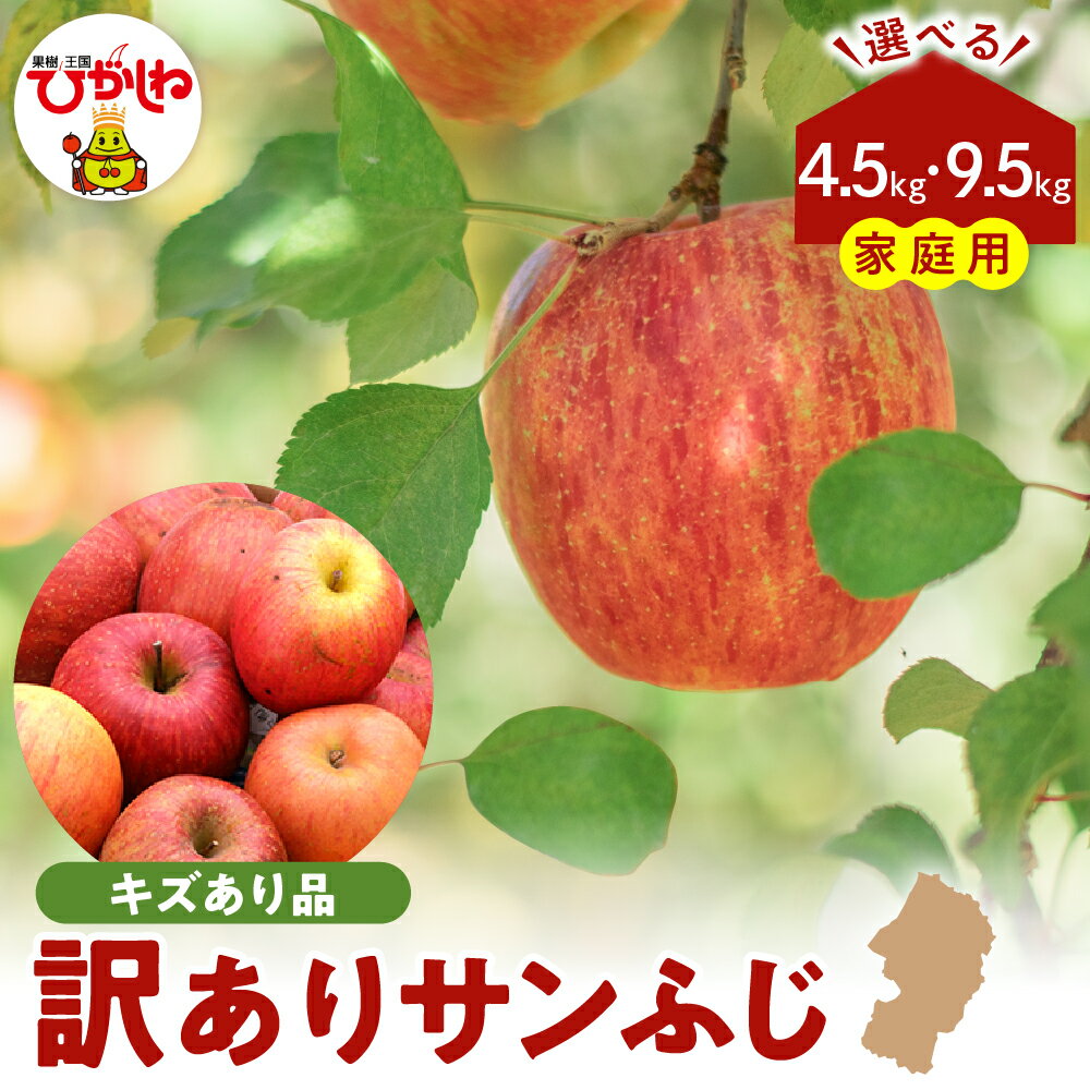 [ 令和6年産 先行予約 訳あり ] りんご サンふじ 満杯詰 リンゴ 林檎 アップル さんふじ 家庭用 キズ等 規格外 不揃い フルーツ 果物 くだもの お取り寄せグルメ 産地直送 東北 山形県 東根市 [2024年11月1日〜2025年1月31日に順次出荷予定]