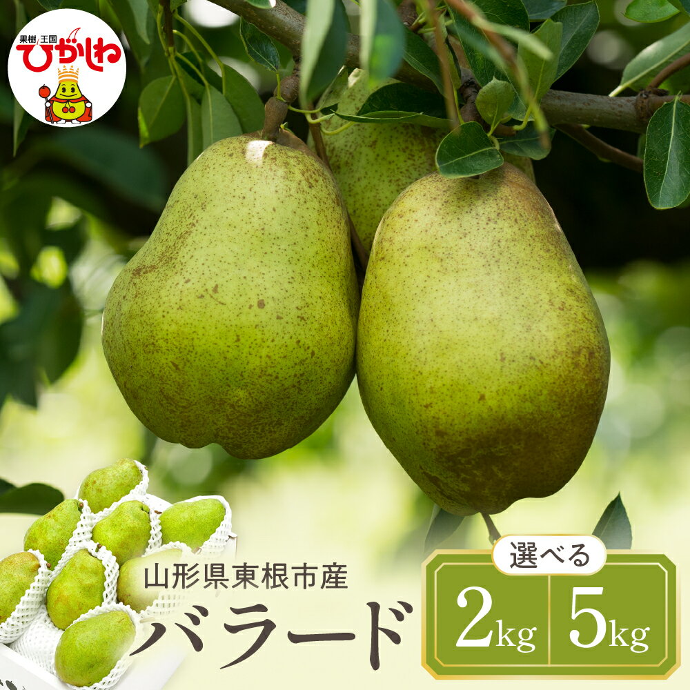 【ふるさと納税】【令和7年産 先行予約】西洋梨 バラード ( 選べる内容量 : 2kg / 5kg ) 秀品 化粧箱入り / 洋なし 洋梨 洋ナシ フルーツ 果物 くだもの 化粧箱 期間限定 産地直産 ご当地 お取り寄せグルメ 送料無料 国産 東北 山形県 東根市