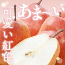 山形県東根市の画像2