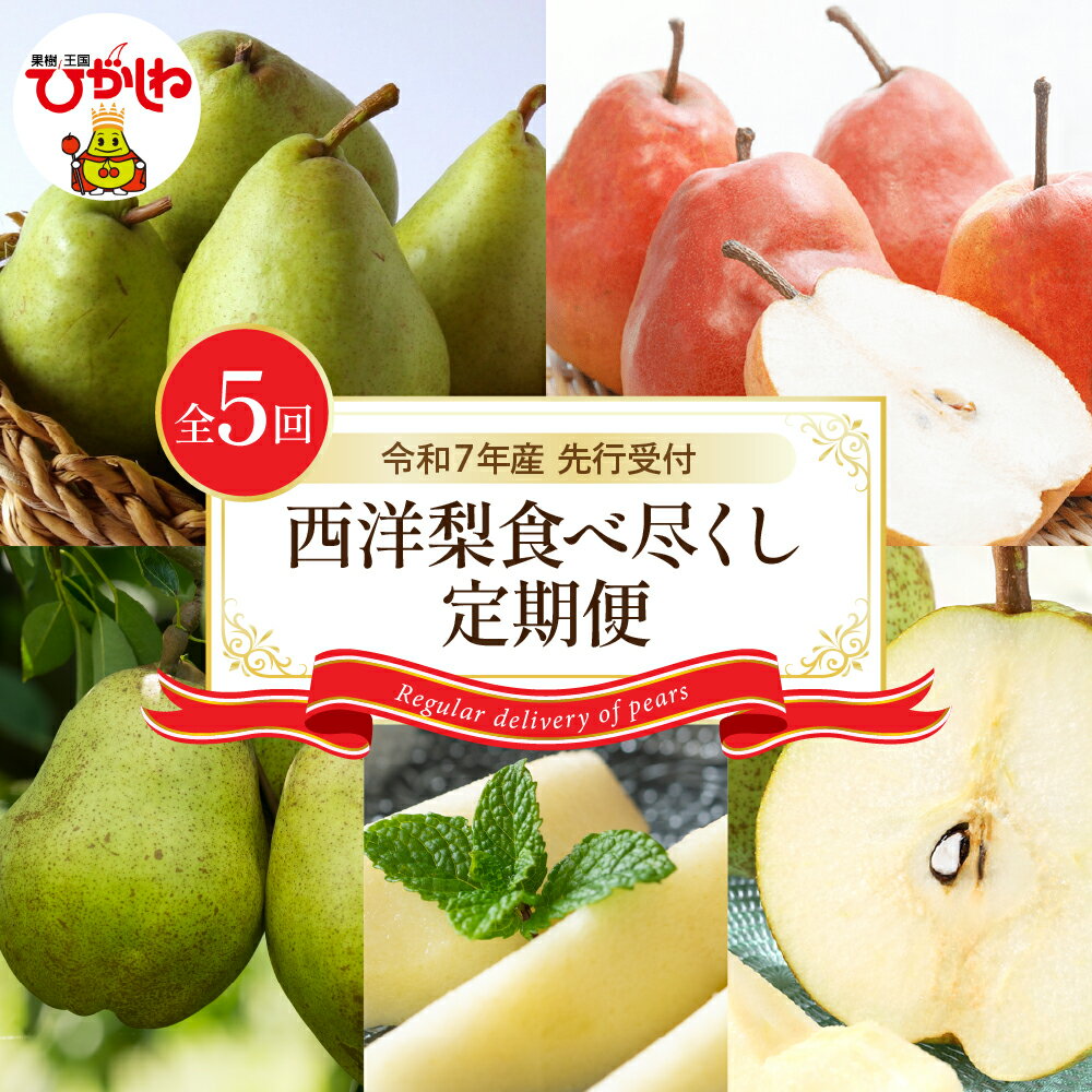 [定期便 全5回] 令和7年産 先行予約 西洋梨 食べ尽くし 定期便 / 洋なし 洋梨 洋ナシ マルゲリットマリーラ バラード メープルレッド ラフランス エルドラド果物 フルーツ くだもの 取り寄せ ご当地 特産 産地 直送 送料無料 山形県 東根市