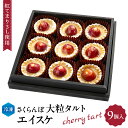 【ふるさと納税】 さくらんぼ 大粒 タルト「エイスケ」(紅てまり3L使用)/ スイーツタルト さくらんぼタルト 9個入 デザート お取り寄せ グルメ ご当地 特産 産地 直送 バレンタイン ホワイトデー クリスマス 山形県 東根市