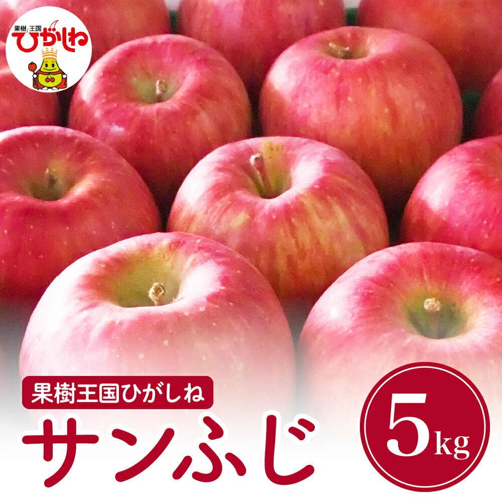 【ふるさと納税】2025年産 りんご サンふじ 5kg / リンゴ 林檎 アップル サンふじ さんふじ サンフジ フルーツ 果物 くだもの 期間限定 先行予約 お取り寄せ グルメ ご当地 特産 産地 直送 農家直送 産地直送 送料無料 山形県 東根市