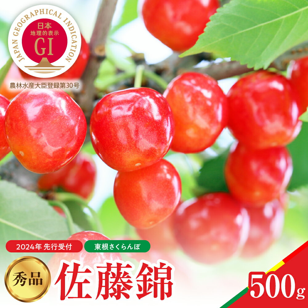 ڤդ뤵Ǽǡۡӥ塼ڡ󡿤 ƣ 2024ǯ  500g L  ʾ ͽ󥵥 ե롼 ʪ  ʬ Ȣ Ȣ    û  ľ ̵ ָ  ¢  캬