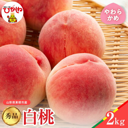 【 2024年産 先行予約 】 白桃 品種おまかせ 秀品 2kg (やわらかめ)桃 もも モモ ピーチ フルーツ 果物 くだもの 箱入り 化粧箱 期間限定 大容量 冷蔵配送 先行予約 取り寄せ グルメ ご当地 特産 産地 直送 送料無料 東北 山形県 東根市