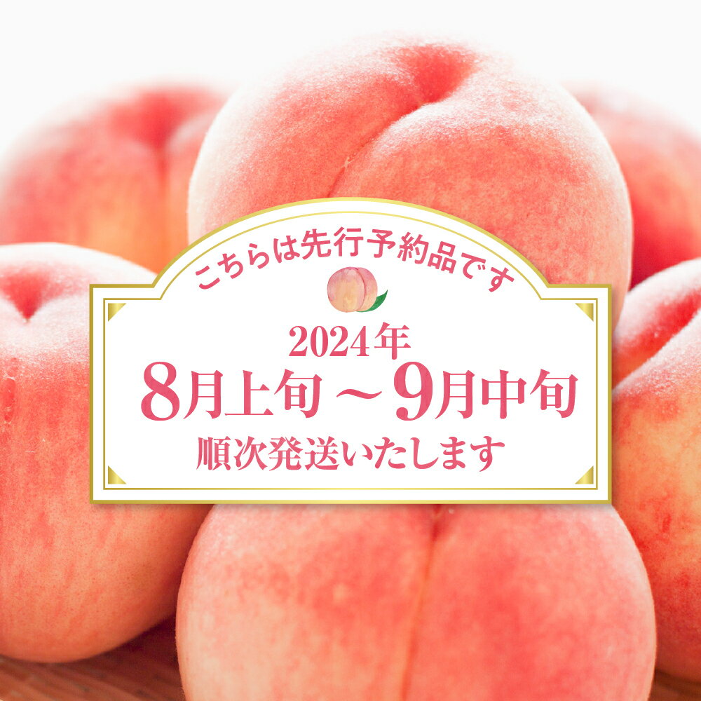 【ふるさと納税】【 2024年産 先行予約 】 白桃 品種おまかせ 訳あり 2kg (硬め)/ 桃 もも モモ ピーチ フルーツ 果物 くだもの 期間限定 大容量 冷蔵配送 先行予約 取り寄せ グルメ ご当地 特産 産地 直送 送料無料 東北 山形県 東根市