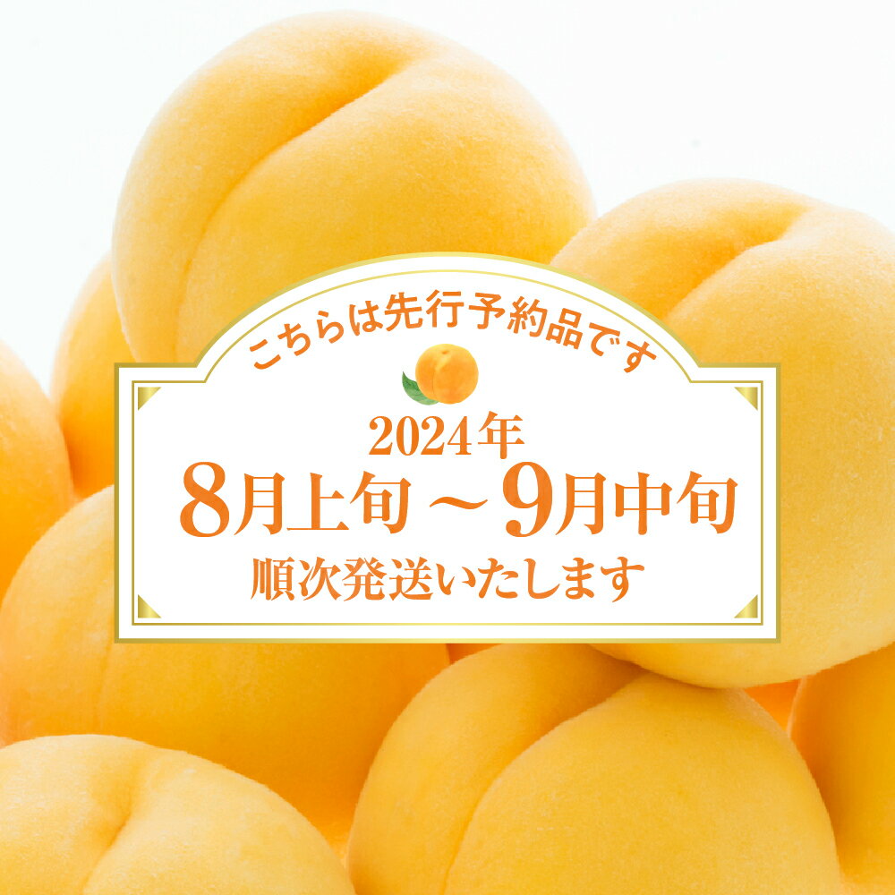 【ふるさと納税】【 2024年産 先行予約 】 黄桃 品種おまかせ 訳あり 2kg (やわらかめ)桃 もも モモ ピーチ フルーツ 果物 くだもの 期間限定 大容量 冷蔵配送 先行予約 取り寄せ グルメ ご当地 特産 産地 直送 送料無料 東北 山形県 東根市