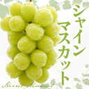 山形県東根市の画像3