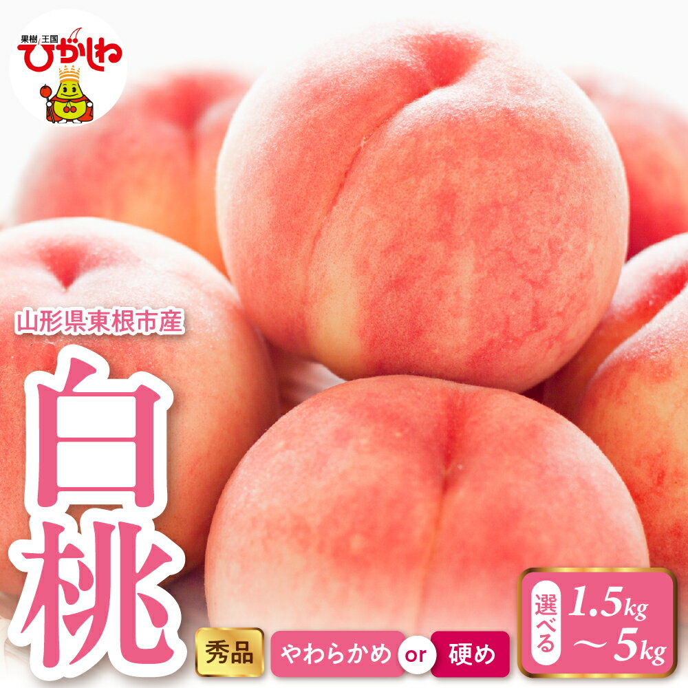2025年産 白桃 選べる ( 1.5kg 2kg 3kg 5kg )( 柔らかめ or 硬め )/ 桃 もも モモ ピーチ 白桃 はくとう フルーツ 果物 くだもの 期間限定 大容量 冷蔵配送 先行予約 農家直送 産地直送 お取り寄せ グルメ ご当地 特産 産地直送 山形県東根市