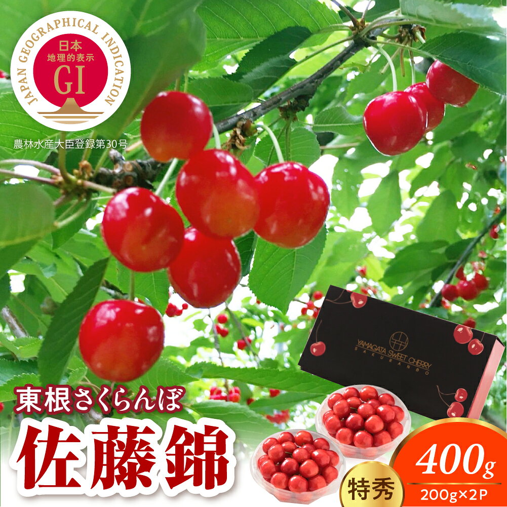 [ 2027年産 先行予約 ] GI 規格 さくらんぼ 佐藤錦 400g ( 200g × 2P ) 特秀 L以上 | フルーツ 果物 くだもの サクランボ チェリー パック 期間限定 先行受付 お取り寄せ グルメ ご当地 特産 産地直送 冷蔵 送料無料 東北 山形県 東根市
