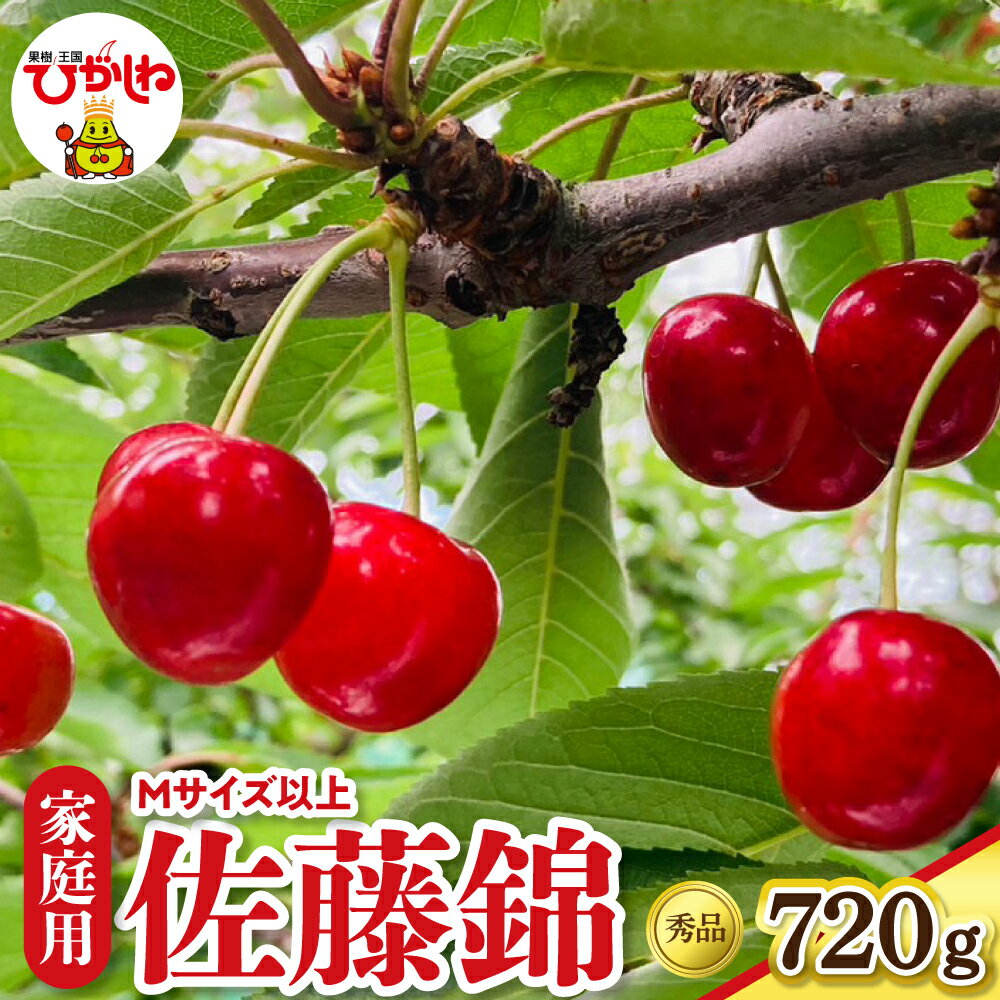 [ 2026年産 先行予約 ] さくらんぼ 佐藤錦 ご家庭用 秀品 Mサイズ以上 ( 180g × 4パック )| サクランボ フルーツ 果物 くだもの 小分け 箱入り 化粧箱 特産 産地直送 送料無料 お取り寄せ 期間限定 大容量 冷蔵配送 山形県 東根市