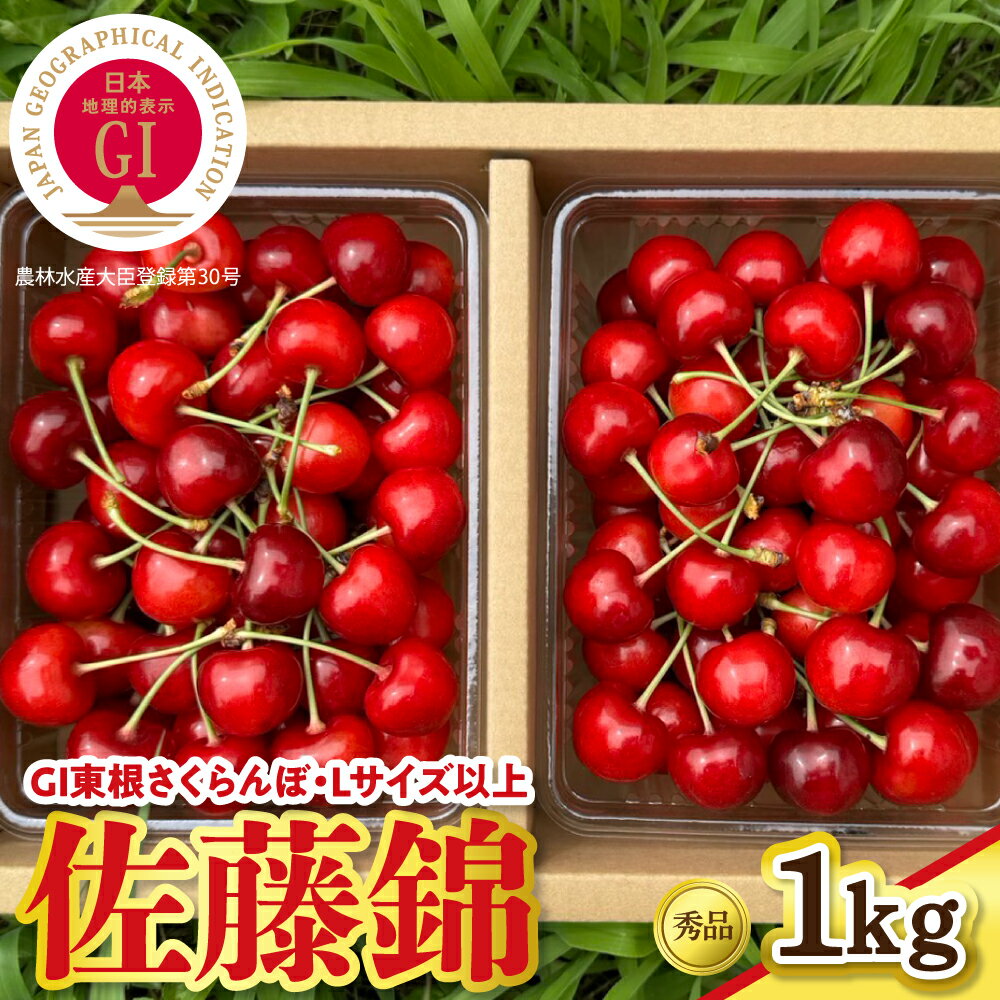 [ 2026年産 先行予約 ] GI東根 さくらんぼ 佐藤錦 秀品 Lサイズ以上 1kg バラ詰め ( 500g × 2パック ) | サクランボ フルーツ 果物 くだもの 小分け 箱入り 化粧箱 特産 産地直送 送料無料 お取り寄せ 期間限定 大容量 冷蔵配送 山形県 東根市