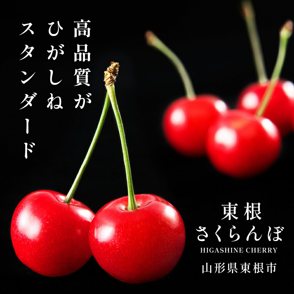 【ふるさと納税】GI「 東根 さくらんぼ 」無加温ハウス栽培 佐藤錦フルーツ 果物 くだもの サクランボ チェリー 令和6年産 箱入り 化粧箱 期間限定 冷蔵配送 ご当地 特産 産地 直送 お取り寄せグルメ 東北 山形県 東根市