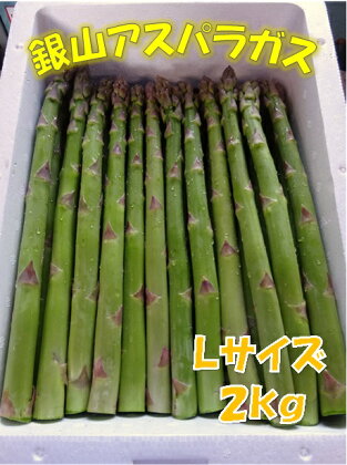《2020年産予約》尾花沢産 銀山春アスパラガス Lサイズ2kg