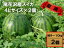 【ふるさと納税】☆令和3年産予約☆【観光物産】尾花沢産スイカ4Lサイズ(約9〜10kg)×2（7月下旬〜8月上旬頃発送）(K42)【尾花沢スイカ・すいか・西瓜・送料無料】