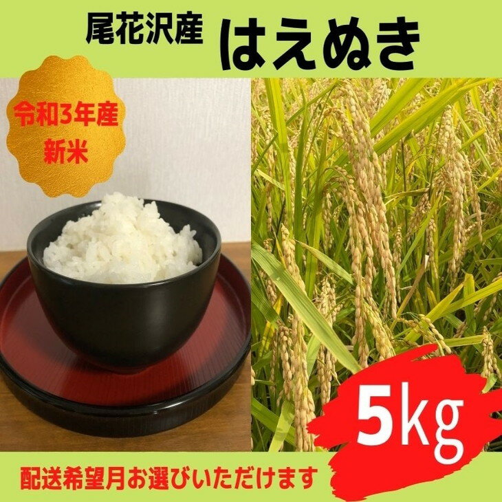 【ふるさと納税】令和3年産米　はえぬき5kg×1袋　山形県尾花沢市産　ご希望の時期頃にお届け