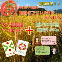 【ふるさと納税】山形ブランド米2種食べ比べセット・つや姫精米...