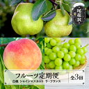 【ふるさと納税】先行予約 フルーツ定期便 白桃 シャインマスカット ラ・フランス 全3回 秀品 2026年9月~発送開始 山形県産 フルーツ 果物 モモ もも ぶどう ブドウ ラフランス 西洋梨 定期便 2026年産 令和8年産 佐竹物産 sb-fthsl3-b※沖縄・離島への配送不可