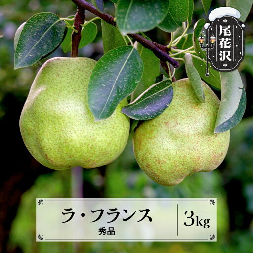 【ふるさと納税】先行予約 ラ・フランス秀品 約3kg 11月中旬~12月中旬頃発送 山形県産 フルーツ 果物 くだもの ラフランス 洋梨 西洋梨 2025年産 令和7年産 佐竹物産 sb-lasyx3※沖縄・離島への配送不可 【ふるさと納税】先行予約 ラ・フランス秀品 約3kg 11月中旬~12月中旬頃発送 山形県産 フルーツ 果物 くだもの ラフランス 洋梨 西洋梨 2025年産 令和7年産 佐竹物産 sb-lasyx3※沖縄・離島への配送不可