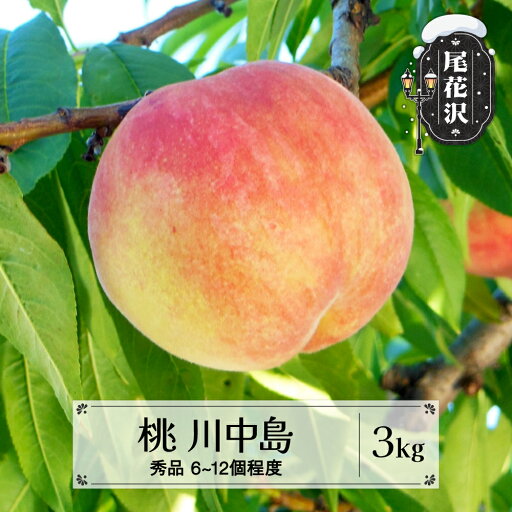 【ふるさと納税】先行予約 桃 川中島 白桃 秀品 約3kg (6~12個程度) 8月中旬~9月中旬頃発送 山形県産 フルーツ 果物 くだもの もも モモ 2025年産 令和7年産 佐竹物産 sb-moknx3※沖縄・離島への配送不可 【ふるさと納税】先行予約 桃 川中島 白桃 秀品 約3kg (6~12個程度) 8月中旬~9月中旬頃発送 山形県産 フルーツ 果物 くだもの もも モモ 2025年産 令和7年産 佐竹物産 sb-moknx3※沖縄・離島への配送不可