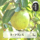 【ふるさと納税】先行予約 ラ・フランス 3kg 11月上旬〜11月中旬頃発送 令和7年産 2025年産 ラフランス 梨 洋梨 果物 フルーツ 山形県産 送料無料...
