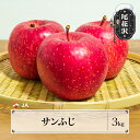 【ふるさと納税】先行予約 サンふじ 3kg 11月上旬~12月上旬頃発送 令和7年産 2025年産 りんご リンゴ サンフジ さんふじ 果物 フルーツ 山形県産 送料無料 ja-risfx3※沖縄・離島への配送不可