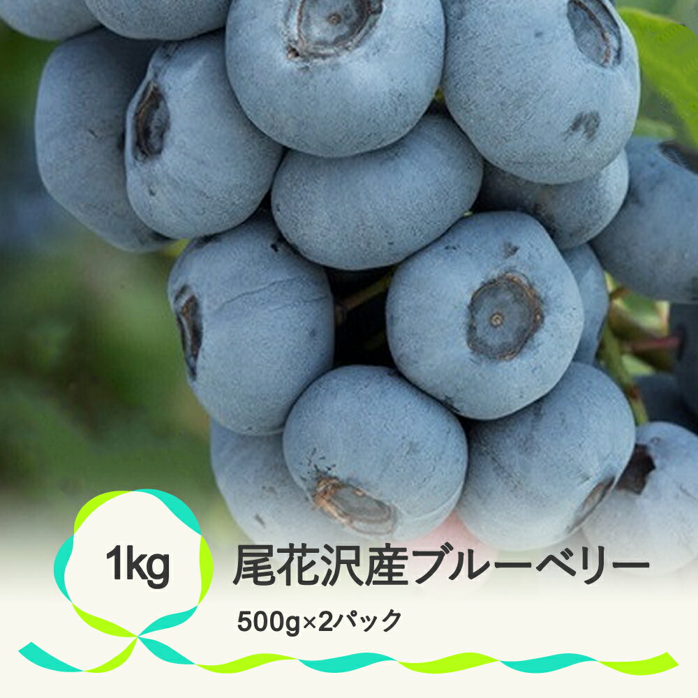 25位! 口コミ数「1件」評価「4」尾花沢産とれたて完熟ブルーベリー 生果実 1kg 500g×2 令和6年産 2024年産 送料無料 着日指定不可 ※沖縄・離島への配送不可