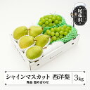 【ふるさと納税】先行予約 シャインマスカット 西洋梨 秀品 詰め合わせ 3kg 2025年産 令和7年産 山形県産 送料無料 ぶどう 梨 果物 フルーツ セット...