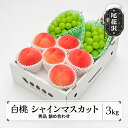 【ふるさと納税】先行予約 白桃 シャインマスカット 秀品 詰め合わせ 品種おまかせ 3kg 2024年産 令和6年産 山形県産 もも 桃 ぶどう ブドウ 葡萄 シャイン マスカット 果物 フルーツ デザート 詰合せ セット アソート 送料無料 山形 ns-fshsx3※沖縄 離島への配送不可