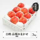 【ふるさと納税】先行予約 もも 白桃 秀品 品種おまかせ 約3kg (7~12玉) 化粧箱入 2026年産 令和8年産 送料無料 フルーツ 果物 ns-mohtx3※沖縄・離島への配送不可
