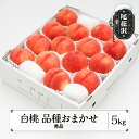 【ふるさと納税】先行予約 もも 白桃 秀品 品種おまかせ 約5kg (12~18玉) 化粧箱入 2026年産 令和8年産 送料無料 フルーツ 果物 ns-mohtx5※沖縄・離島への配送不可