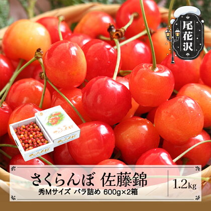 先行予約 さくらんぼ 佐藤錦 秀Mサイズ バラ詰め 1.2kg(600g×2箱) 2024年産 令和6年産 山形県産 送料無料 サクランボ※沖縄・離島への配送不可