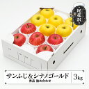 【ふるさと納税】りんご サンふじ&シナノゴールド 秀品 3kg 化粧箱入 詰め合わせ 2025年産 令和7年産 12月上旬~1月中旬頃発送 リンゴ フルーツ ア...