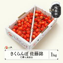 【ふるさと納税】さくらんぼ 佐藤錦 ○秀L玉以上 1kgバラ 2024年産 令和6年産 果物 果樹  ...