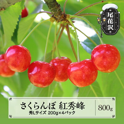 楽天ふるさと納税　【ふるさと納税】先行予約 さくらんぼ 紅秀峰 秀Lサイズ 800g (200gx4パック) フードパック 2024年産 令和6年産 山形県産 送料無料 サクランボ※沖縄・離島への配送不可