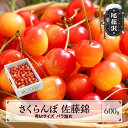 【ふるさと納税】先行予約 さくらんぼ 佐藤錦 秀Mサイズ バラ詰め 600g 1箱 2026年産 令和8年産 山形県産 送料無料 サクランボ ns-snsmb600※沖縄・離島への配送不可