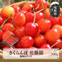 【ふるさと納税】先行予約 さくらんぼ 佐藤錦 特秀2Lサイズ プレゼント ギフト 化粧箱鏡詰め 300g 2026年産 令和8年産 山形県産 送料無料 サクラン...